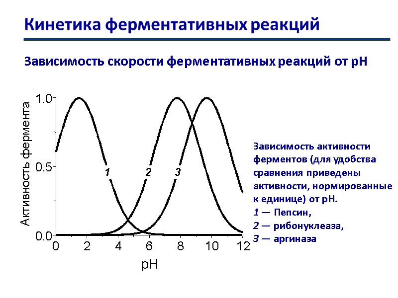 Кинетика ферментативных реакций Зависимость скорости ферментативных реакций от рН Зависимость активности ферментов (для удобства